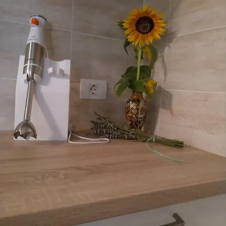 Apartma Pri Kovaciji Apartment Sempas